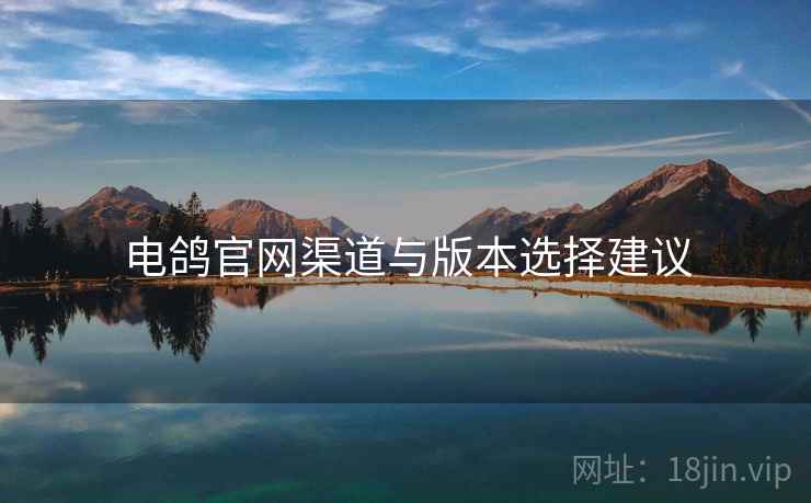 电鸽官网渠道与版本选择建议