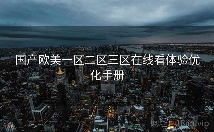 国产欧美一区二区三区在线看体验优化手册