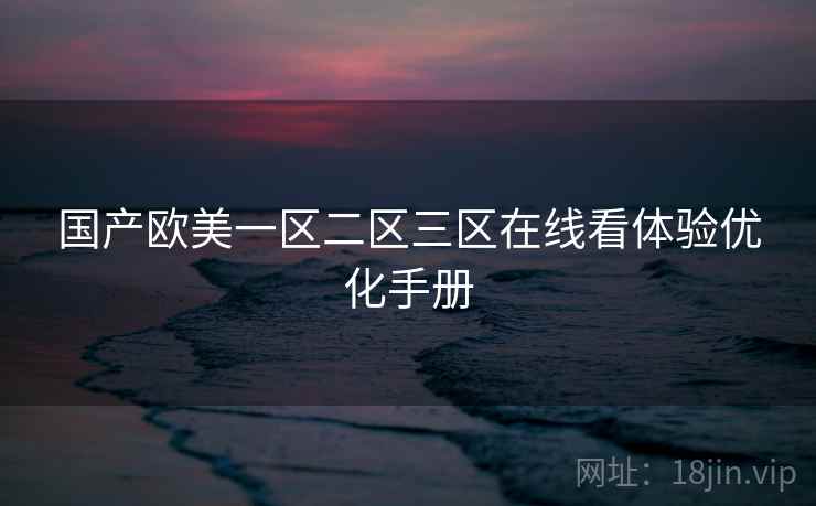 国产欧美一区二区三区在线看体验优化手册