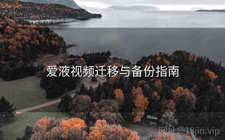 爱液视频迁移与备份指南