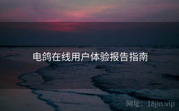 电鸽在线用户体验报告指南