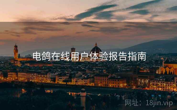 电鸽在线用户体验报告指南