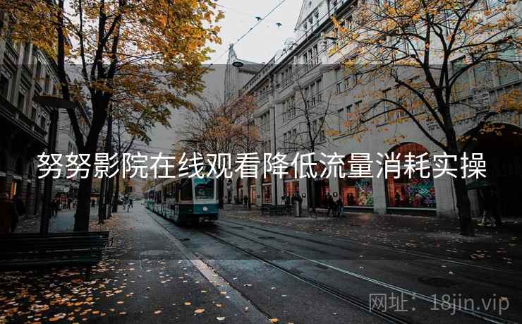 努努影院在线观看降低流量消耗实操