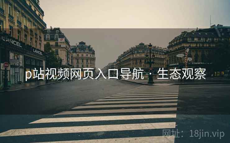 p站视频网页入口导航 · 生态观察