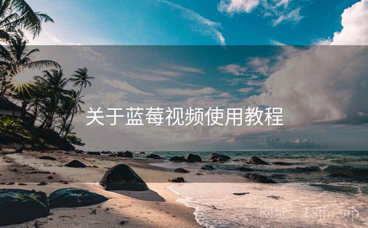 关于蓝莓视频使用教程