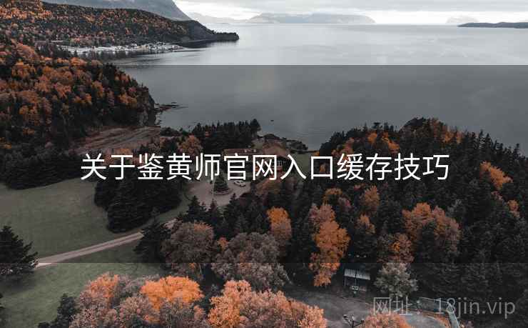 关于鉴黄师官网入口缓存技巧