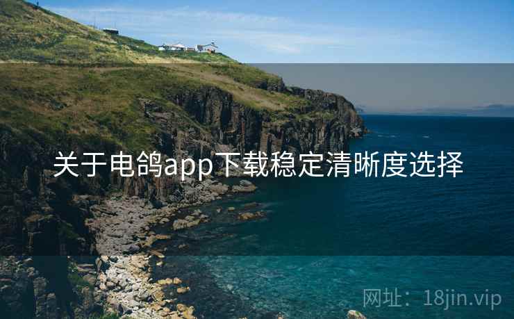 关于电鸽app下载稳定清晰度选择