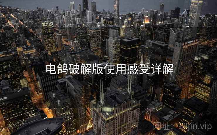电鸽破解版使用感受详解
