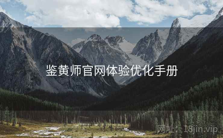 鉴黄师官网体验优化手册