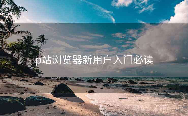 p站浏览器新用户入门必读