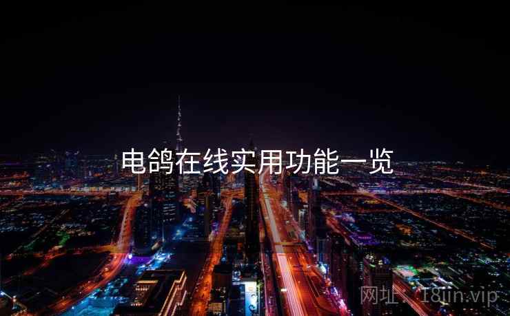 电鸽在线实用功能一览