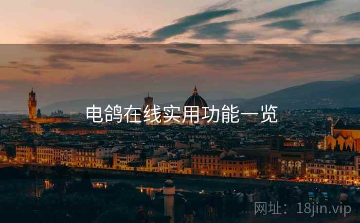 电鸽在线实用功能一览