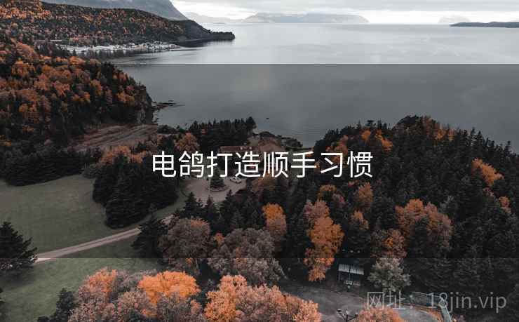 电鸽打造顺手习惯