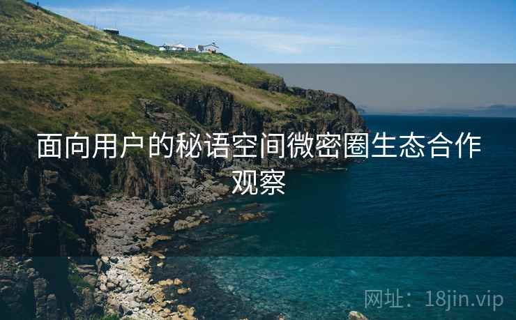 面向用户的秘语空间微密圈生态合作观察