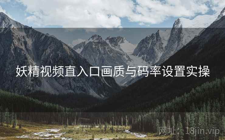 妖精视频直入口画质与码率设置实操