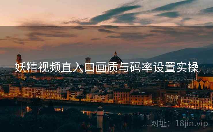 妖精视频直入口画质与码率设置实操