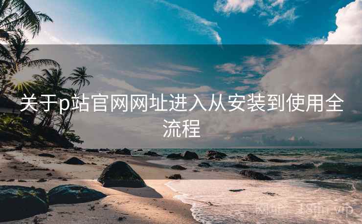 关于p站官网网址进入从安装到使用全流程