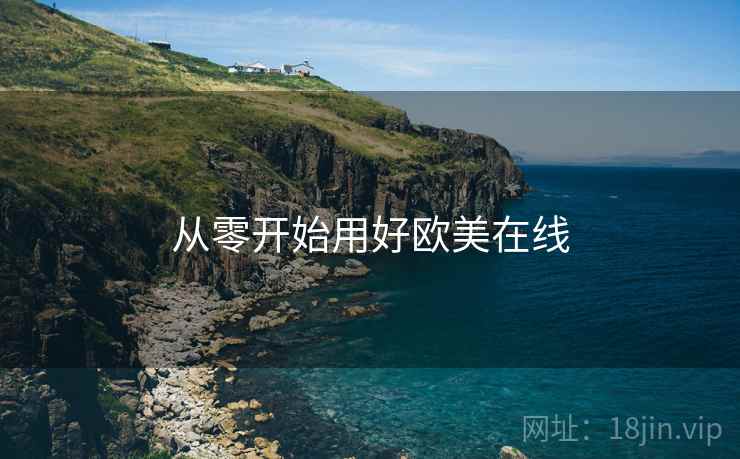 从零开始用好欧美在线