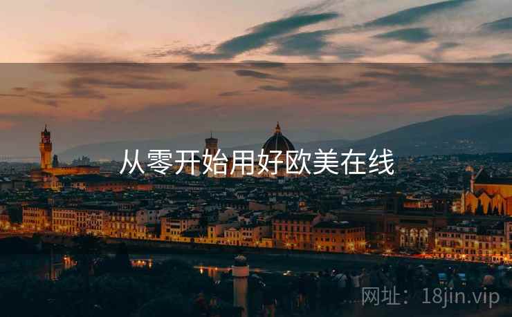 从零开始用好欧美在线
