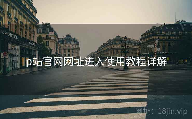 p站官网网址进入使用教程详解